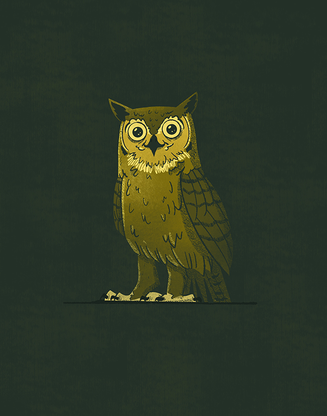 Todds_Owl-1